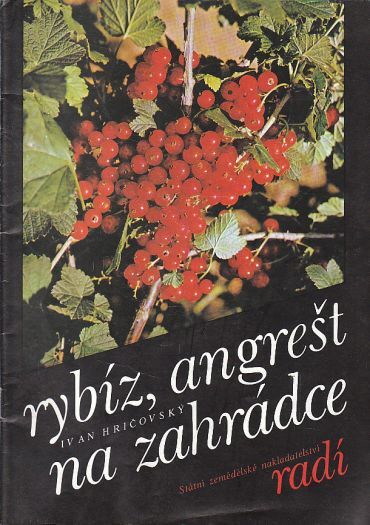 Rybíz, angrešt na zahradě od Ivan Hričovský